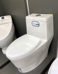 توالت فرنگی چینی کرد مدل ویکتوریا