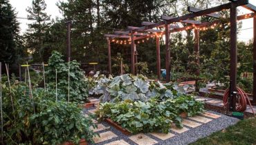 ایده هایی برای طراحی باغچه حیاط و ویلا