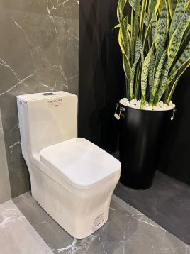 cordgroup toilets arta model 1 268x358 - توالت فرنگی چینی کرد مدل آرتا