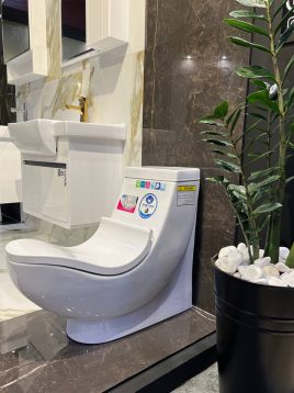 morvarid toilets medical silvia model 1 268x358 - توالت فرنگی مروارید مدل سیلویا طبی