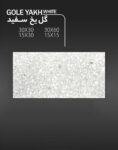 ریگ سنگ مدل واش پرس