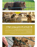 فنس حصارکشی سپهر مدل LR-SR